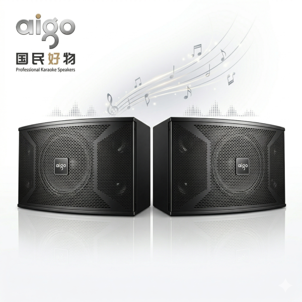 Cặp loa dàn Karaoke AIGO X109 ( 2 chiếc ) - ảnh 1