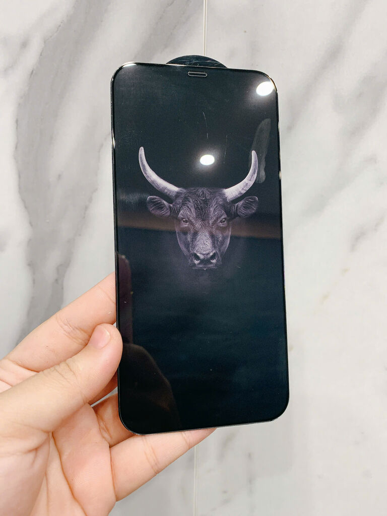 Kính cường lực MiPow Kingbull cho iPhone ( , ko hộp ) - ảnh 4
