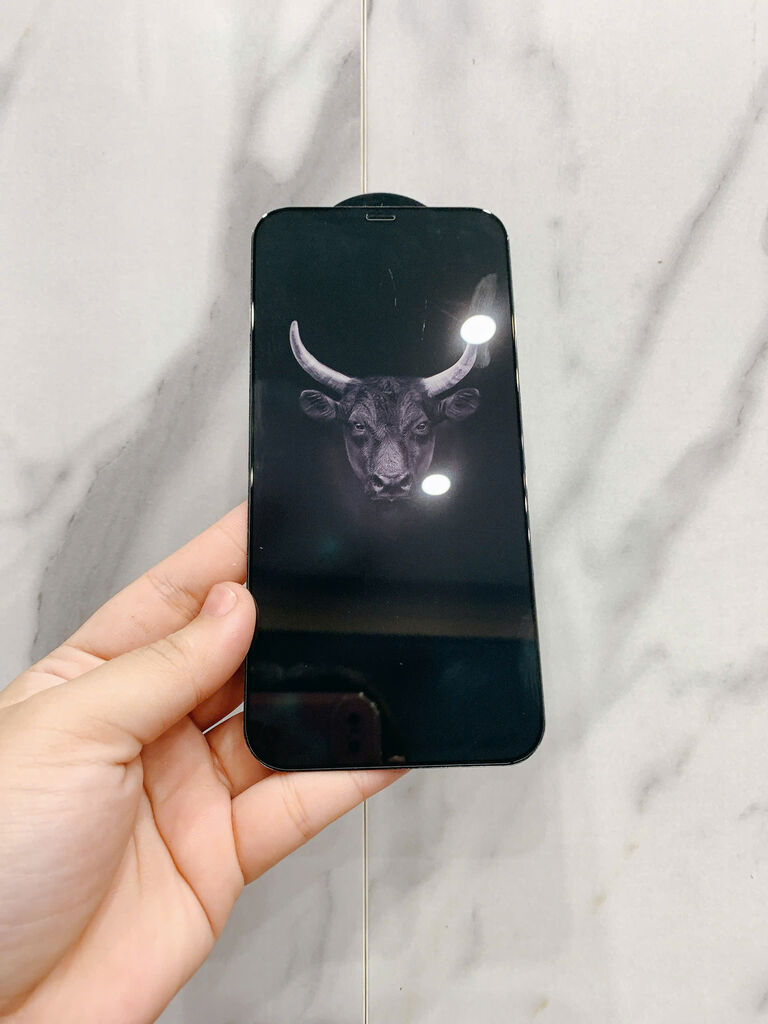 Kính cường lực MiPow Kingbull cho iPhone ( , ko hộp ) - ảnh 5
